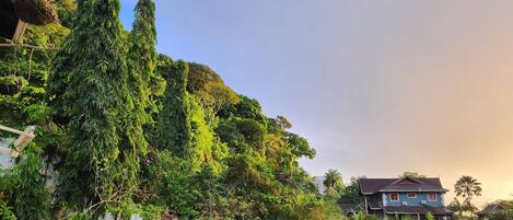 Bagian depan properti