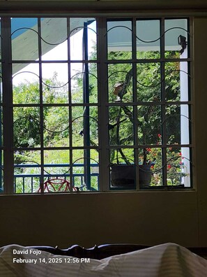 Departamento estándar, 5 habitaciones, vista a la montaña | Insonorización, tabla de planchar con plancha y wifi gratis 