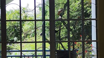 Standard Apartment, 5 Bedrooms, Mountain View | Soundproofing, iron/ironing board, free WiFi