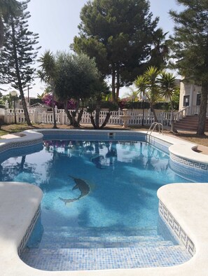 Pool - Birch house (San Vicente del Raspeig)