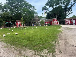 Overnattingsstedets uteområder