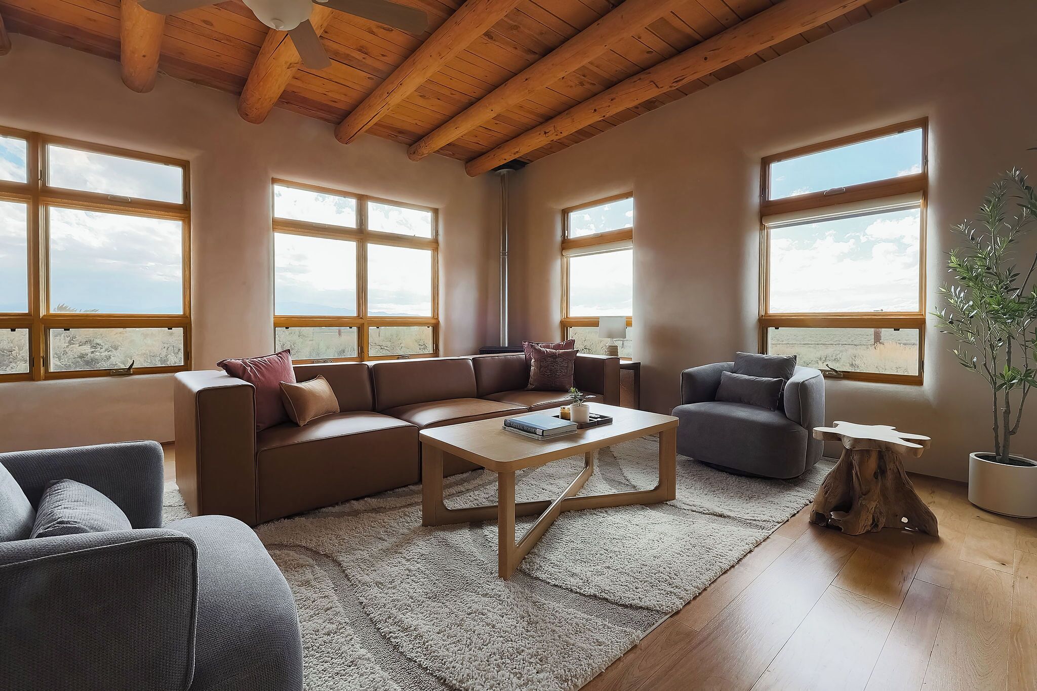 Smart TV, books, music library, stereo