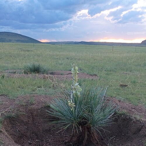 Your Claim for Frontier Days. The West, Uncrowded.