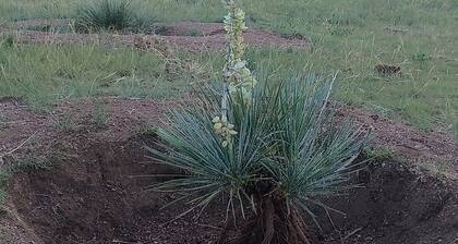 Your Claim for Frontier Days. The West, Uncrowded.