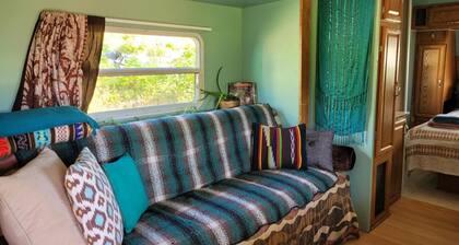 Rara's secret nest