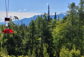 A forested area with a mountain range in the background.