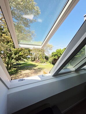 Ventana de tragaluz con vistas a un jardín y árboles.