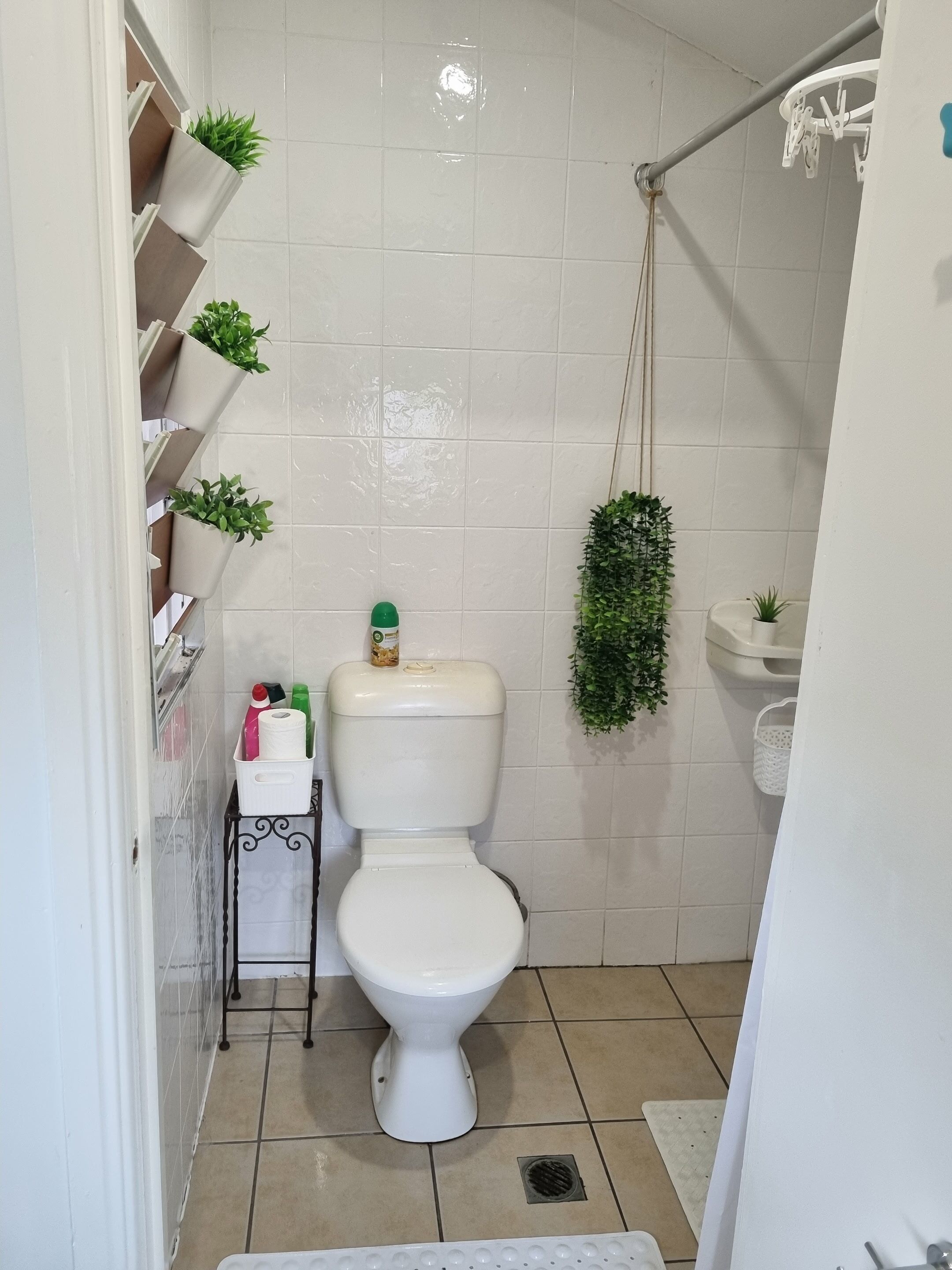 A bathroom with a toilet, shelves with plants, a shower area, and a small table with toiletries.