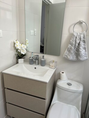 Hair dryer, towels, soap, toilet paper