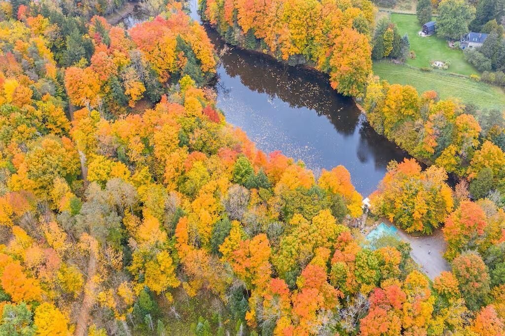 Vue aérienne d’une zone boisée traversée par une rivière, entourée d’arbres aux couleurs automnales.
