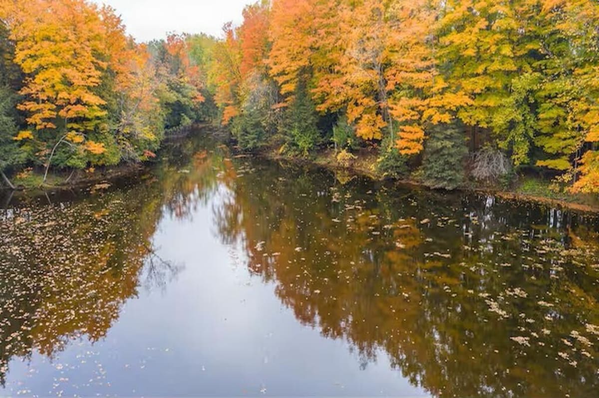Host profile image