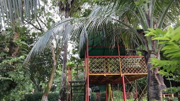 A wooden structure with a staircase leading to a platform, surrounded by lush greenery and trees. - Sukh Sagar Resort (Kaliganj)