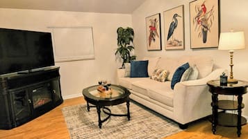 Smart TV, fireplace, books