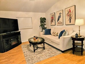 Smart TV, fireplace, books