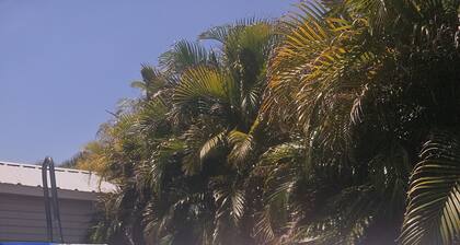 Florida Charm Minifarm🐓 HotTub-POOL-Chickens! Near I75, I275. Pets, trailers OK