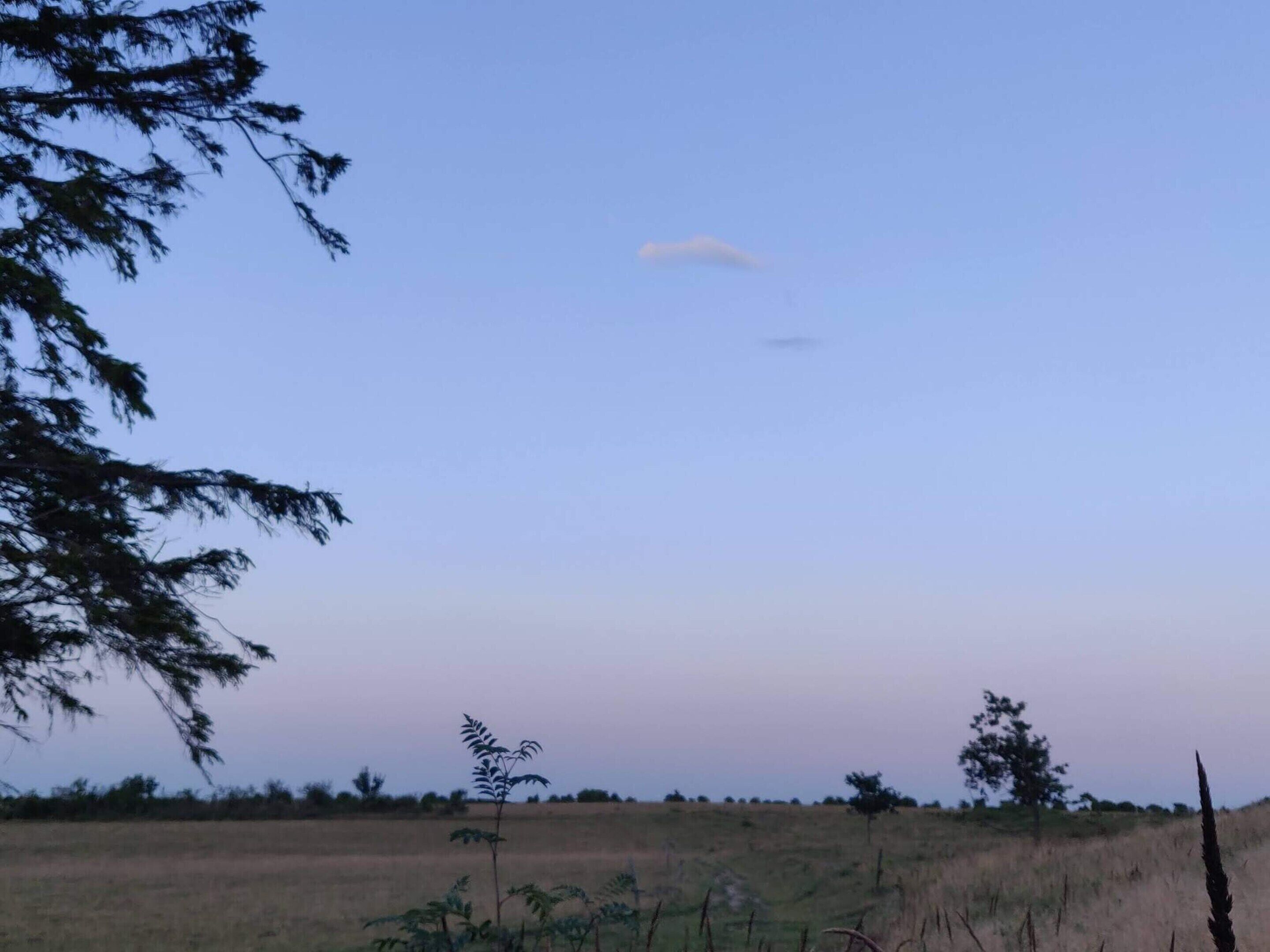 A field with sparse vegetation and a few trees in the distance under a clear sky.