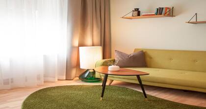 Apartment in Linz by the Danube Promenade