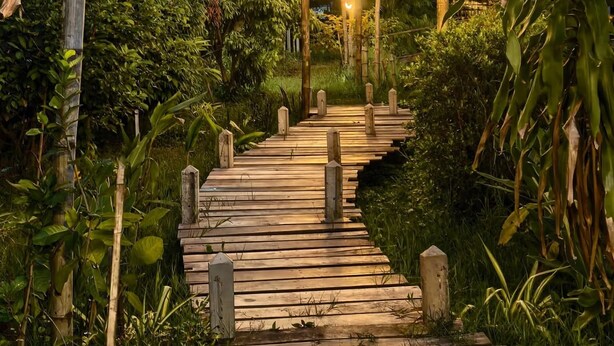 Un sentier en bois qui traverse un jardin luxuriant au crépuscule, avec des guirlandes lumineuses suspendues au-dessus.