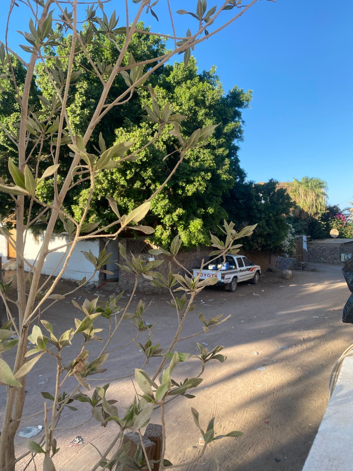 Overnattingsstedets uteområder