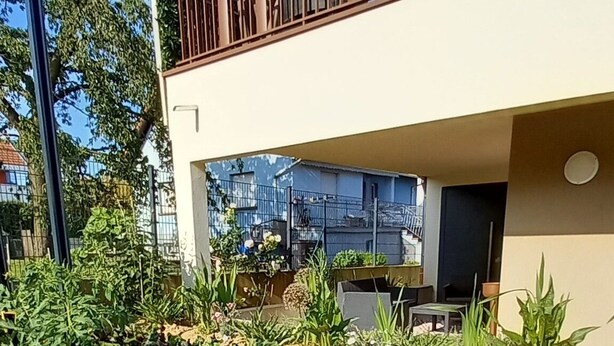 A garden with leafy vegetables in front of a building with a balcony.