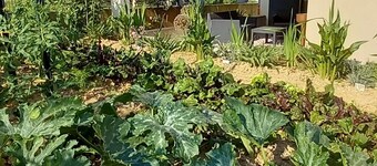 Le jardin de Clémentine, a cosy, quiet apartment