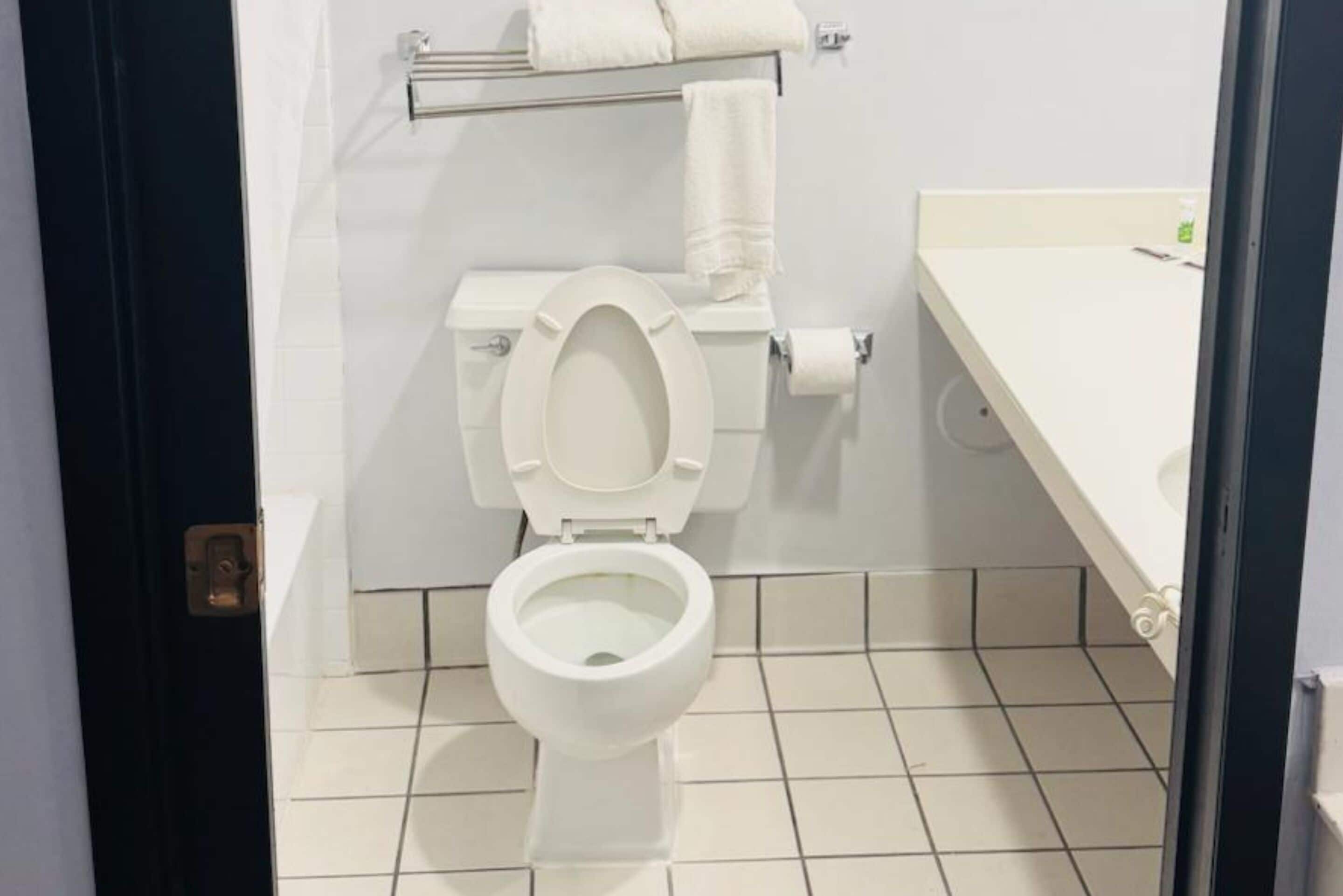 Een badkamer met een wit toilet, een handdoekhouder en een witte wastafel.