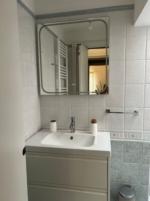 Shower, hair dryer, bidet, towels