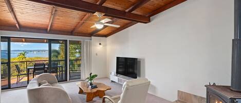 تلفزيون، مدفأة