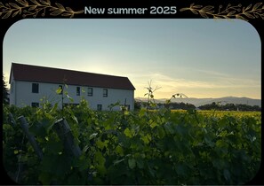 Property grounds - Colmar and co in the heart of the vineyards (Ingersheim)