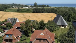 Eksteriør