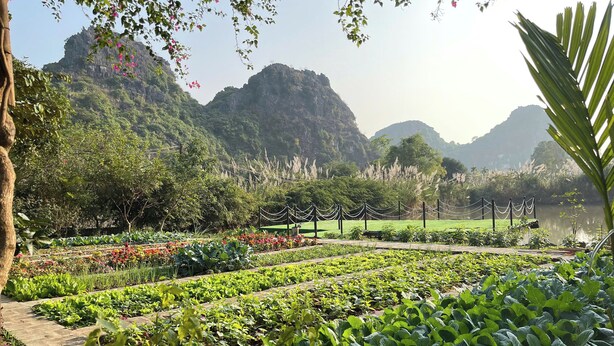 A garden with various plants and a pathway leading to a body of water, surrounded by mountains. - Ninh Hoa Retreat (Tay Hoa Lu)