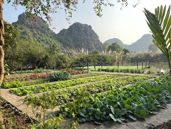 Aerial view - Ninh Hoa Retreat (Hoa Lu)