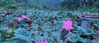 Ninh Hoa Retreat
