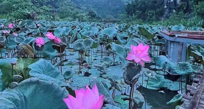 Ninh Hoa Retreat