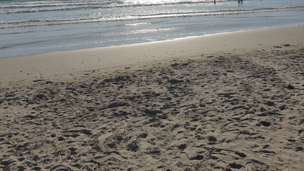 A beach with footprints leading to the water, a clear sky, and the sun shining. - LARGE SEASIDE FARMHOUSE FOR 10 PEOPLE (Tréogat)