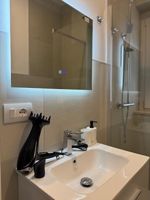 Shower, hair dryer, bidet, towels