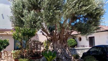 Facciata della struttura