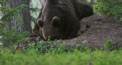 12 Person Holiday Home in Lidsjoberg