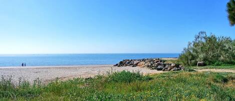 Apartment | Exterior