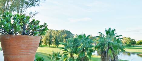 アパートメント | 施設の敷地