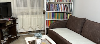 Apartment Gray - cozy 2-bedroom apartment in the center of Pirot