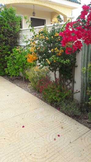 Bungalow | Garden