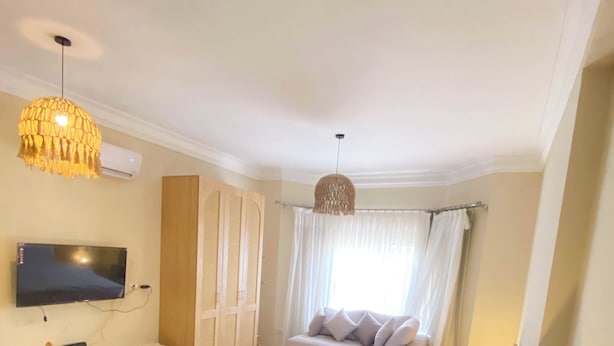 Ein Schlafzimmer mit Bett, Fernseher, Schreibtisch, Sessel, Pflanze und einer Pendelleuchte.