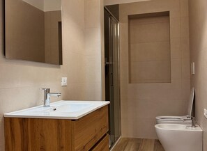 Shower, hair dryer, bidet, towels