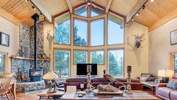 Smart TV, lareira, livros