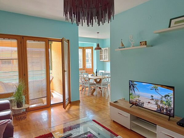 Smart TV, DVD player, books - Huge charming family apartment in downtown Podgorica (Podgorica)