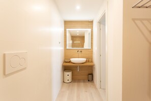 Shower, hair dryer, bidet, towels