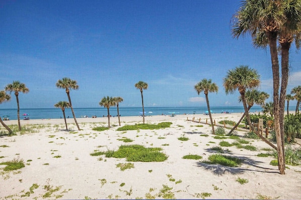 Plage à proximité