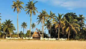 A beach with palm trees and a bungalow-style building. - 😁Welcome to Sailor Homes Beach Resort... (Cherthala North)