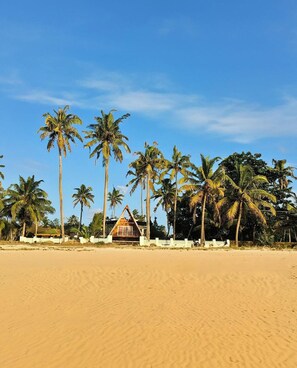 Beach - 😁Welcome to Sailor Homes Beach Resort... (Cherthala North)